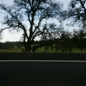 Meet your Posher, Anahi